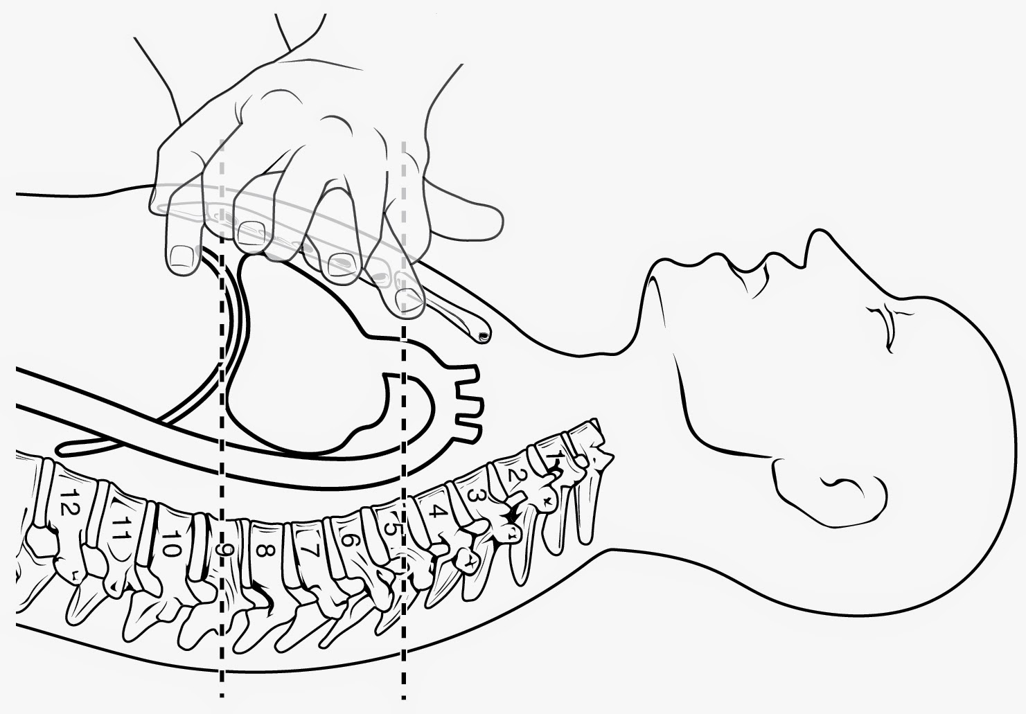 Coach Vogel's Health Class CPR/AED/1st Aid