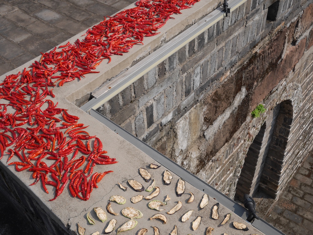 Sun Drying Peppers on a Ancient City Wall Isidor's Fugue