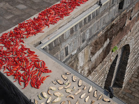 chili peppers drying on the old city wall in Ganzhou