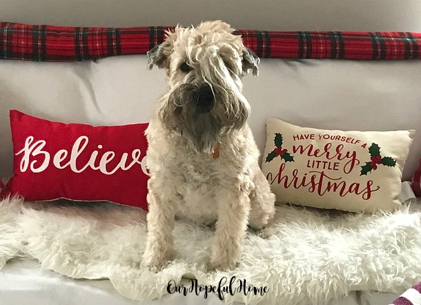 Believe pillow Have Yourself A Merry Little Christmas pillow, Target placemat