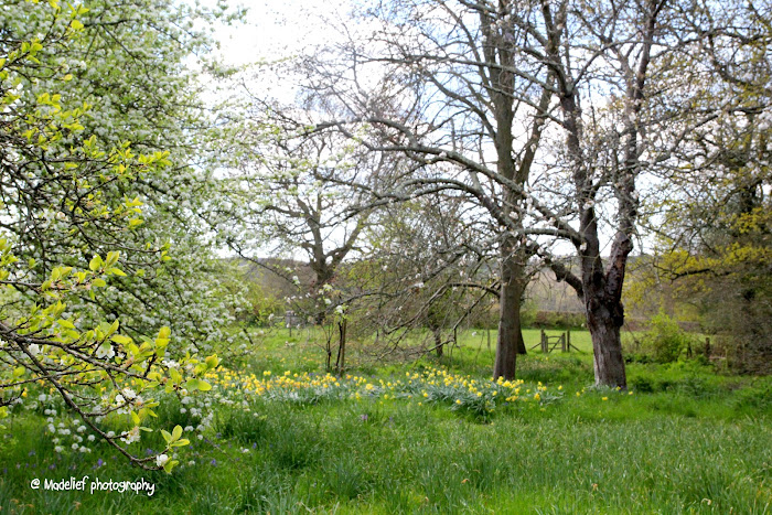 весеннее настроение весеннее настроение