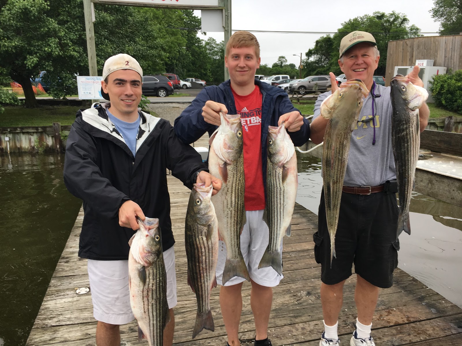 Photons and Electrons Record Rockfish On Memorial Day 2017