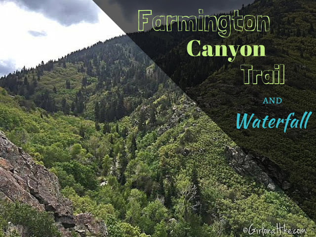 Hiking to The Farmington Canyon Waterfall Hiking to The Farmington Canyon Waterfall