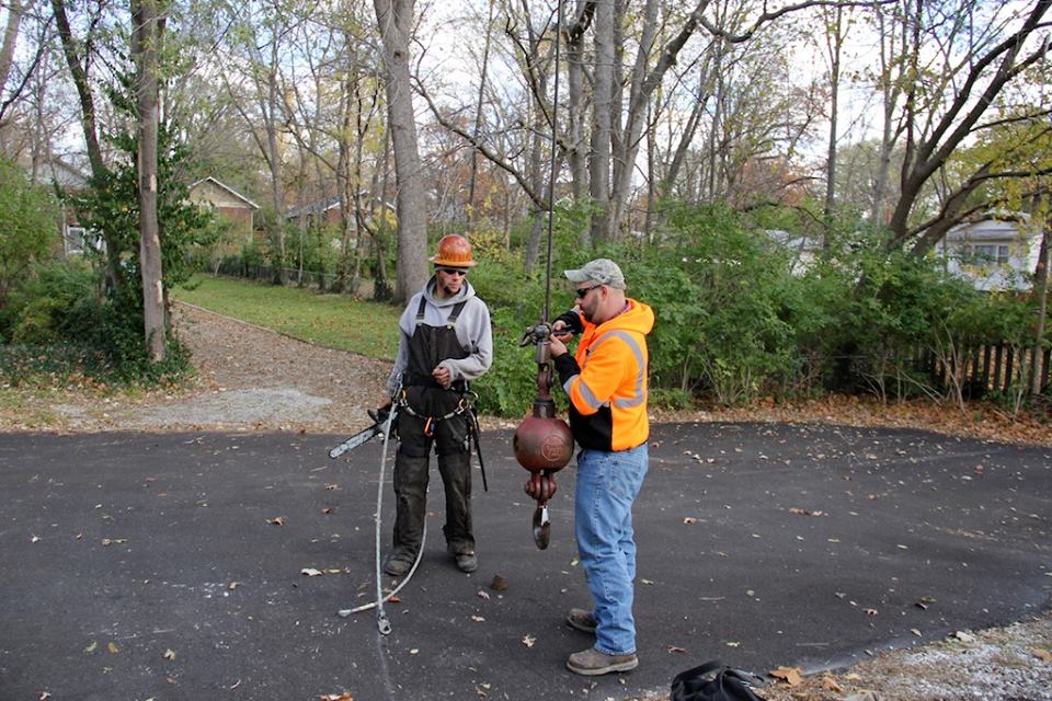 MEC&F Expert Engineers Tree limb kills 25yearold worker employed by