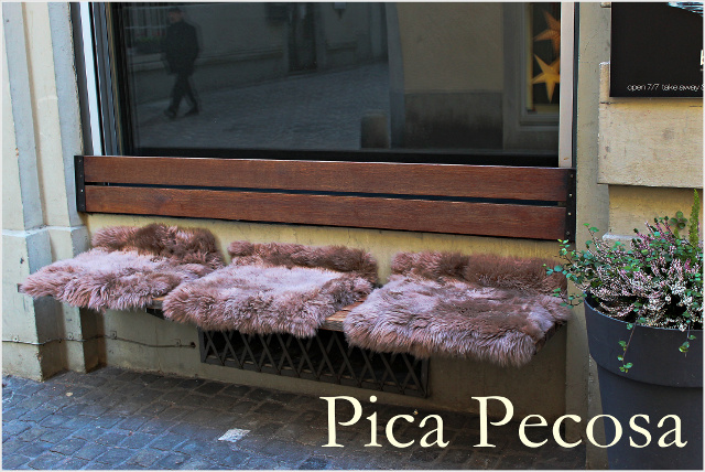 23-ideas-decorar-escaparates-diy-reciclaje