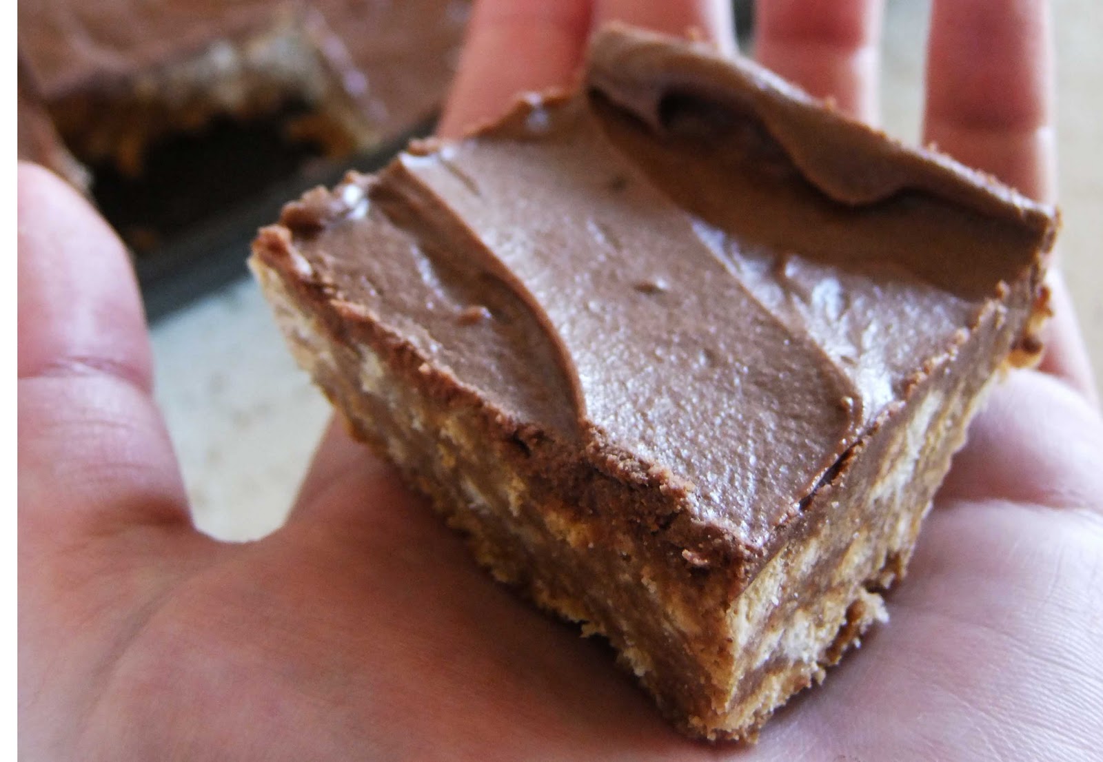 Nickel Pickel Easy Peasy Fudge Slice