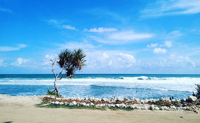 Pantai Watu Kodok Pantai Watu Kodok