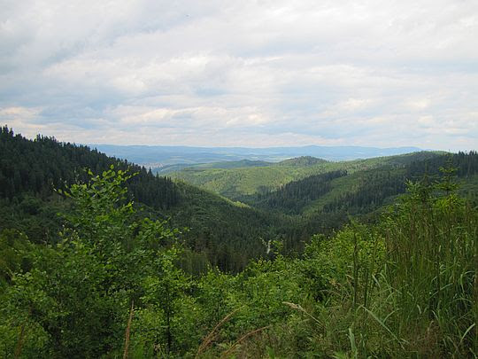 Dolina Suchohorskiego potoku. Dolina Suchohorskiego potoku.