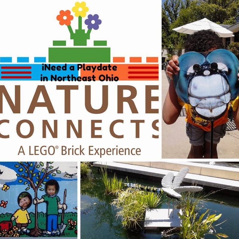 LEGOS and Nature: Making Connections at the Cleveland Botanical Garden