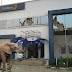 Another Mysterious Elephant Appears In First Bank Nig. – Lagos – Swallows 125Million Live
