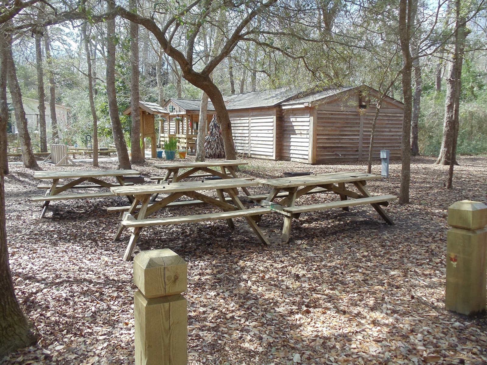 Shrinking Bucket List Myrtle Beach State Park Myrtle Beach Sc