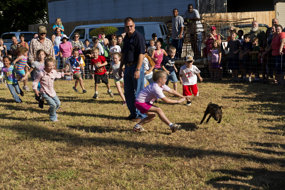 Tie Dye Travels with Kat Robinson Author, Arkansas Food Historian, TV