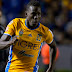 Tigres reforzó a Lobos BUAP