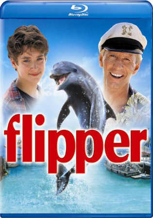 Flipper 1996 BluRay 300MB Hindi Dual Audio 480p