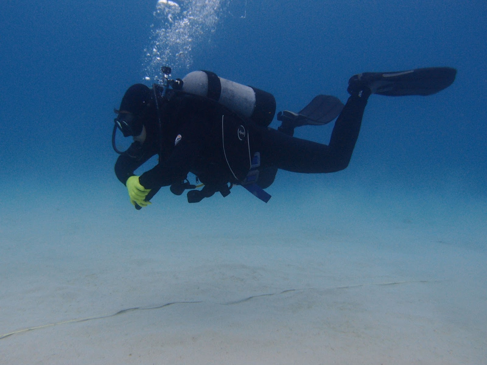 OKINAWA 39ers Dive Log Frog Kick and Frog Fish