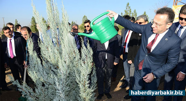 Diyarbakır’da darbe girişiminde katledilenler için hatıra ormanı DİYARBAKIR-Diyarbakır’da 15 Temmuz ABD destekli darbe girişimine karşı düzenlenen gösterilerde katledilenler için valilik tarafından hatıra ormanı için fidan dikme töreni düzenlendi.