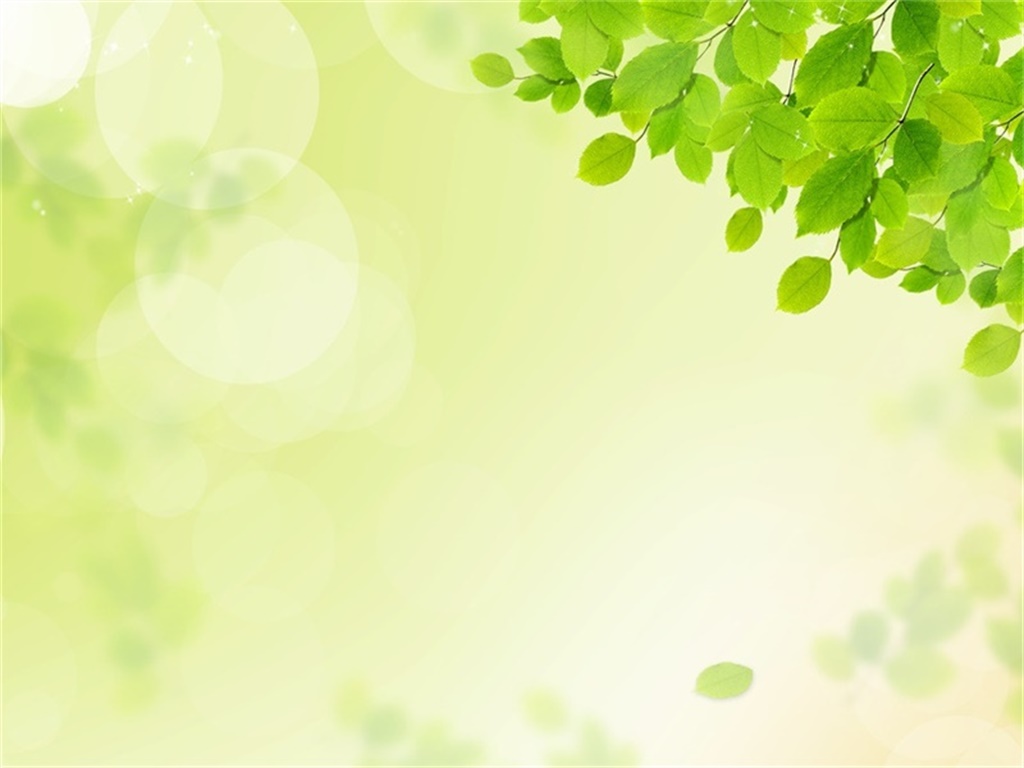 A group of elegant green leaves PPT backgrounds A group of elegant green leaves PPT backgrounds