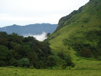 coorg-hill-station-in-india