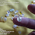 Mata cincin batu KALIMAYA BANTEN retak white opal ukuran kecil by: IMDA Handicraft Kerajinan Khas Desa TUTUL Jember