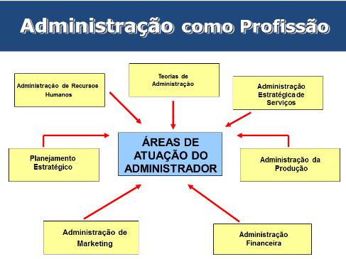 Por que os profissionais contábeis devem seguir as normas? Por que os profissionais contábeis devem seguir as normas?