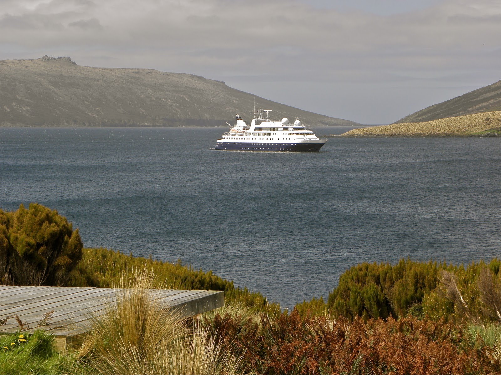 A Breath of Fresh Air Campbell Island