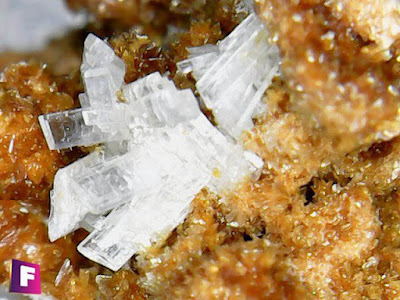paravauxita-mineral-bajo-el-microscopio