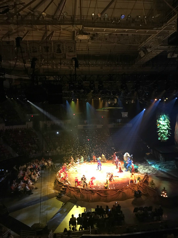 Magical, Whimsical, and Inspiring Cirque du Soleil Ovo Review Cosmos