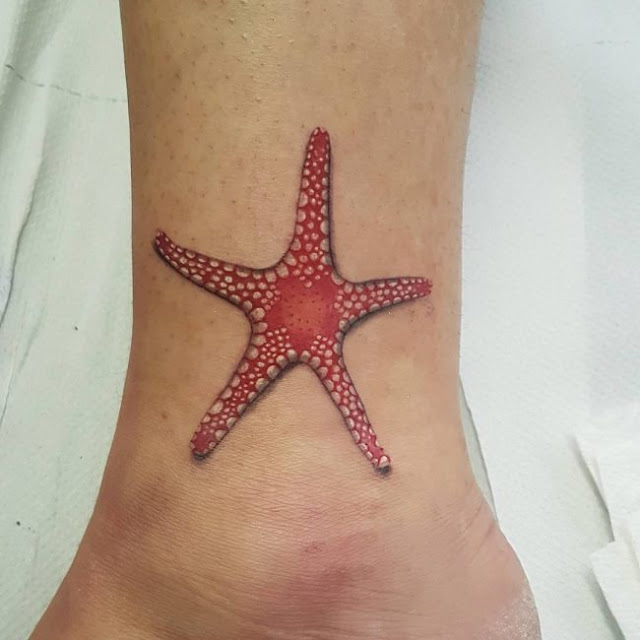 Tatuagens de estrela do mar Tatuagens de estrela do mar