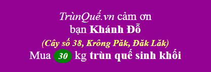 Trùn quế huyện Krông Păk