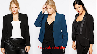 donasaurus.com blazer plus size