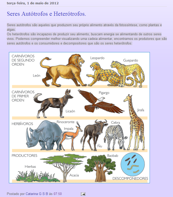 anna beatriz: Ciências - 2/14 - Seres autótrofos e heterótrofos