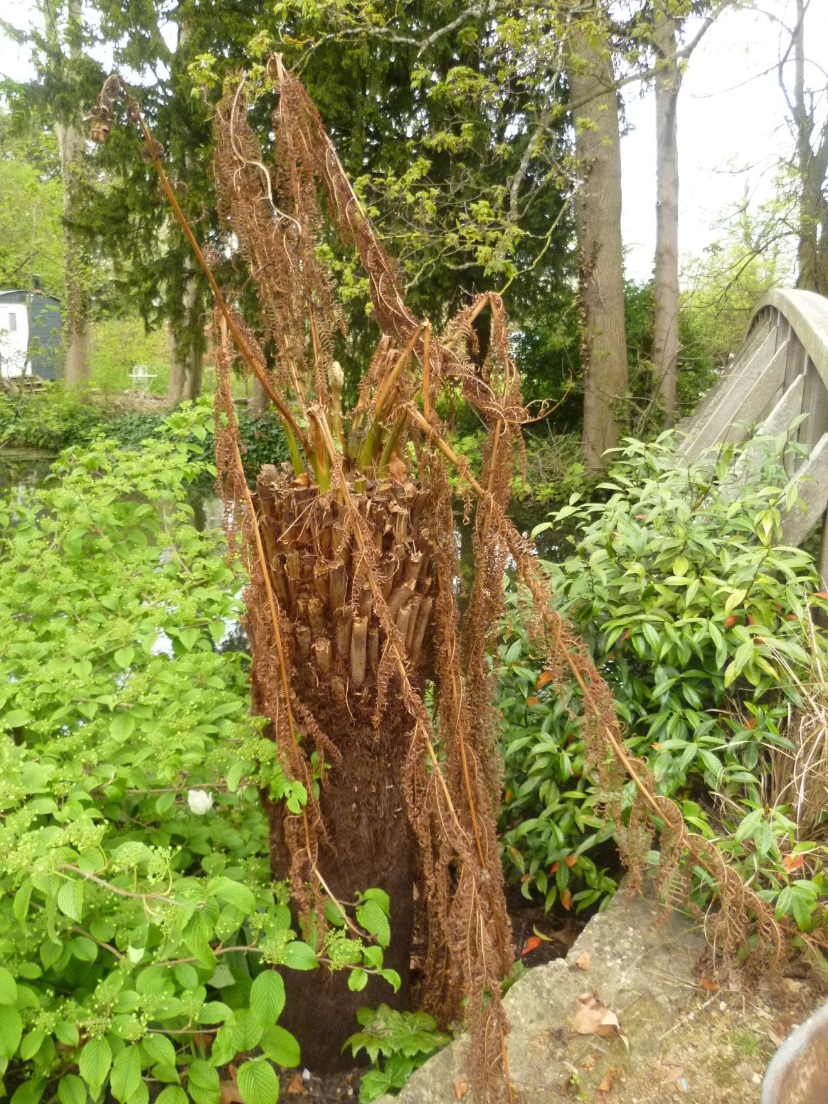 Worcester College Gardeners 20092018 A New Irrigation System For The