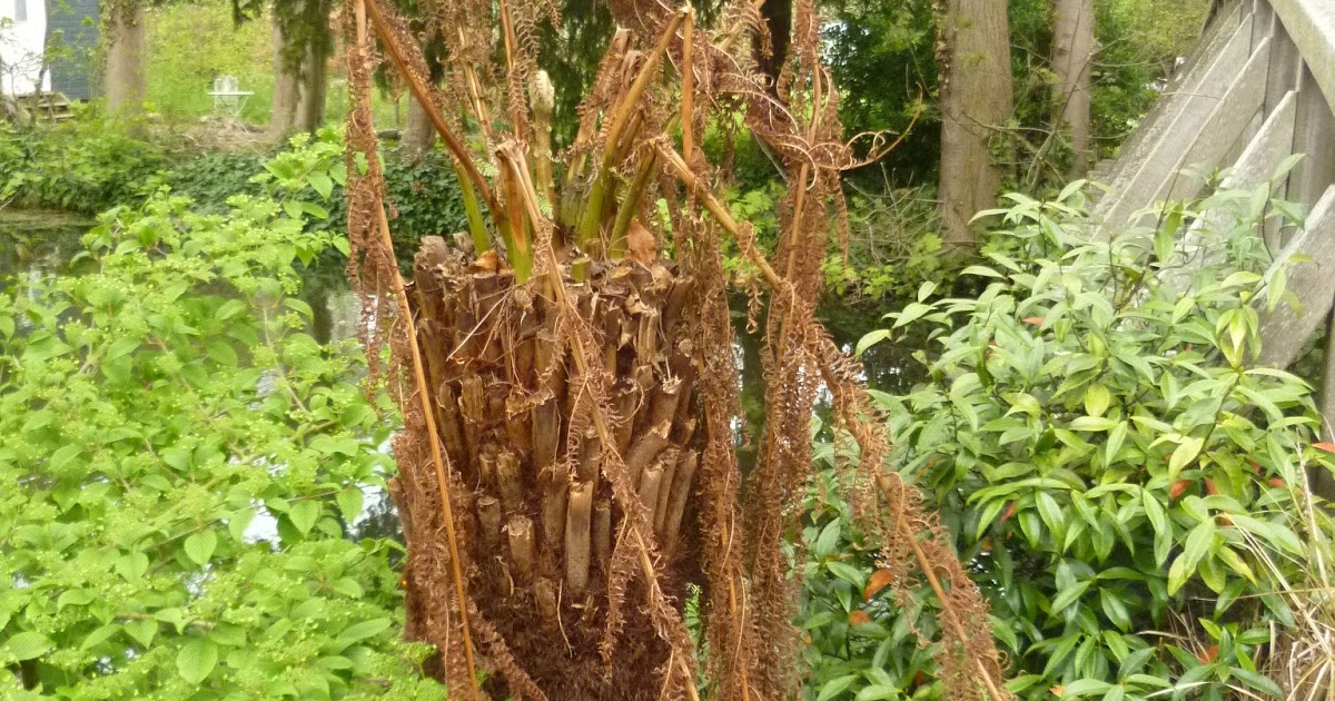 Worcester College Gardeners 20092018 A New Irrigation System For The