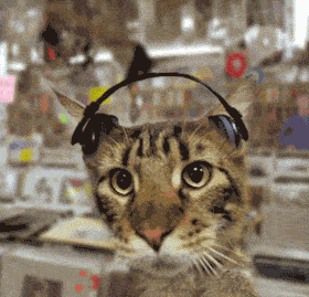 DJ_Kedi_03_Muzikliste.gif