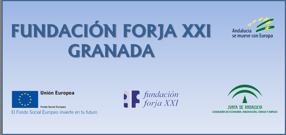 Fundación Forja XXI