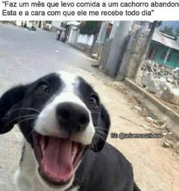 Memes engraçados Memes engraçados