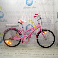 City Bike Wimcycle Cupid 20 Inch