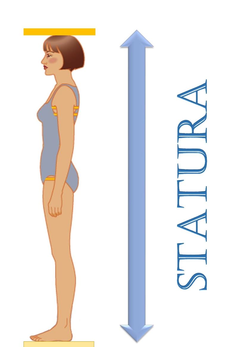 Le 3 Tipologie di Statura (+