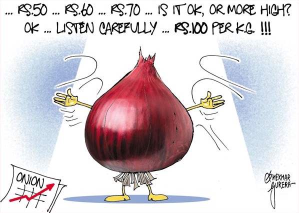 Shekhar Gurera: Onions.