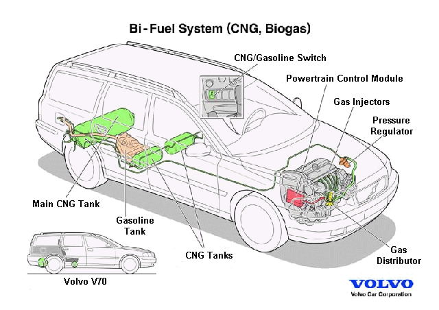 Nige S T Nutrition Blog A Very Special Dual Fuel Car Ogy A Very Special Dual Fuel Car Ogy For The Human Body That I Just Invented