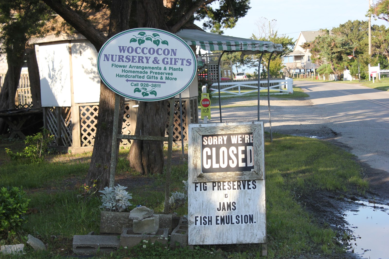 Carolina Foodie OCRACOKE & FRITTERS