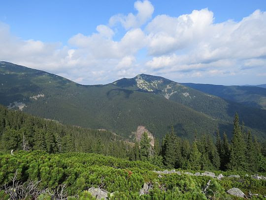 Widok na wzniesienie Seredna (ukr. Середня; 1639 m n.p.m.). Widok na wzniesienie Seredna (ukr. Середня; 1639 m n.p.m.).