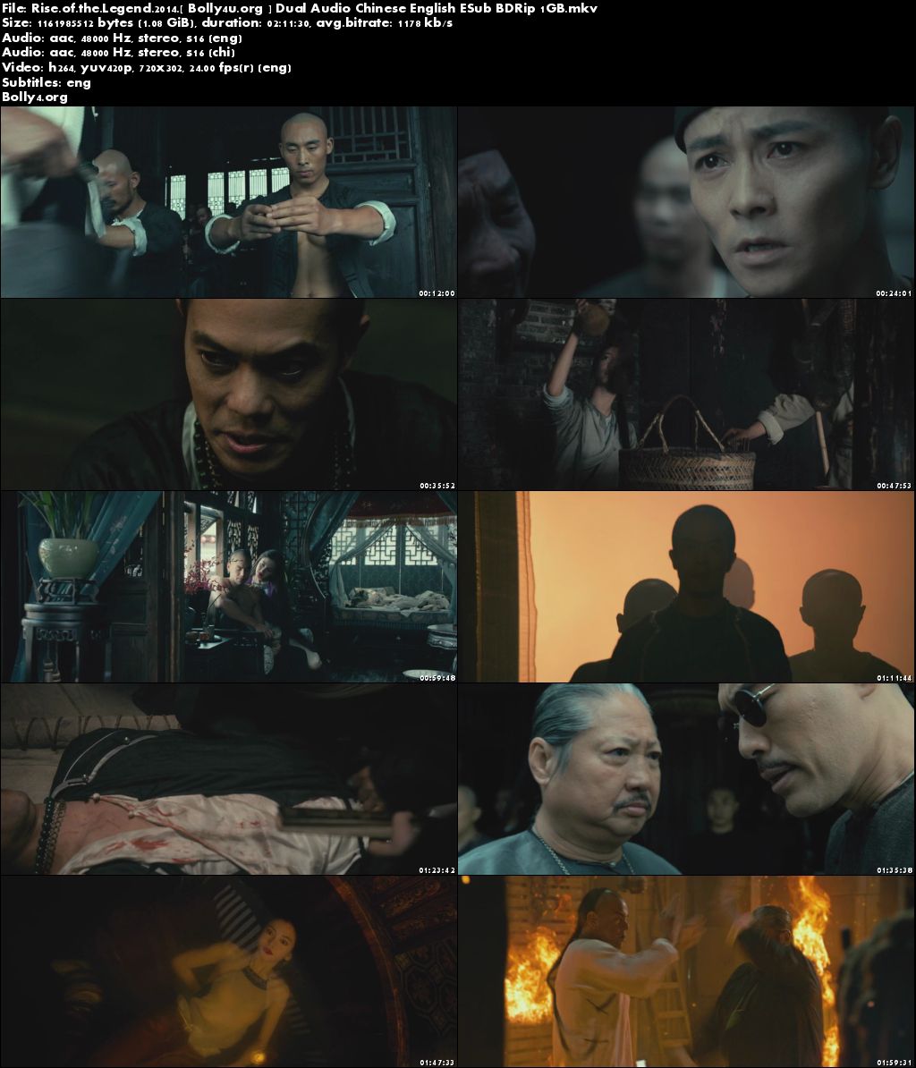 Rise of The Legend 2014 BDRip Chinese English Dual Audio 720p ESub Download