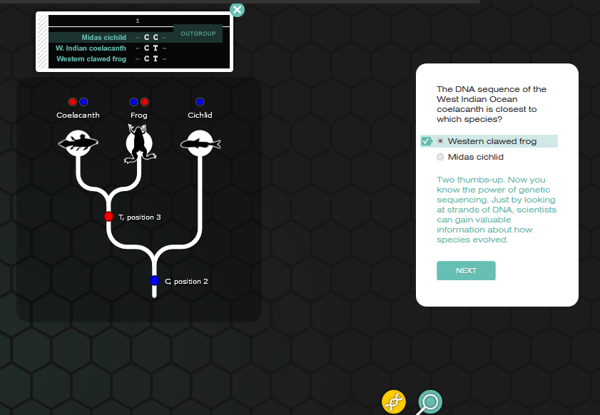 Phyloinformatics: Evolution game, NOVA Labs