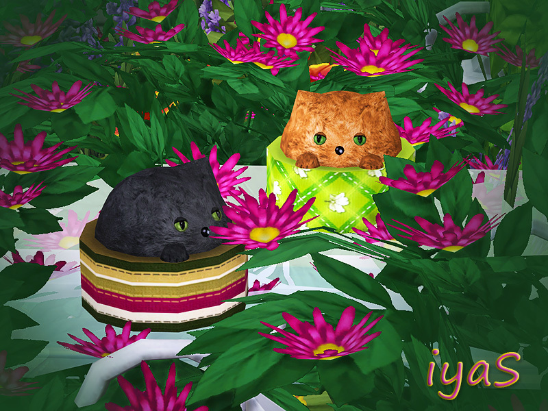 soloriya Kittens. Sims 4