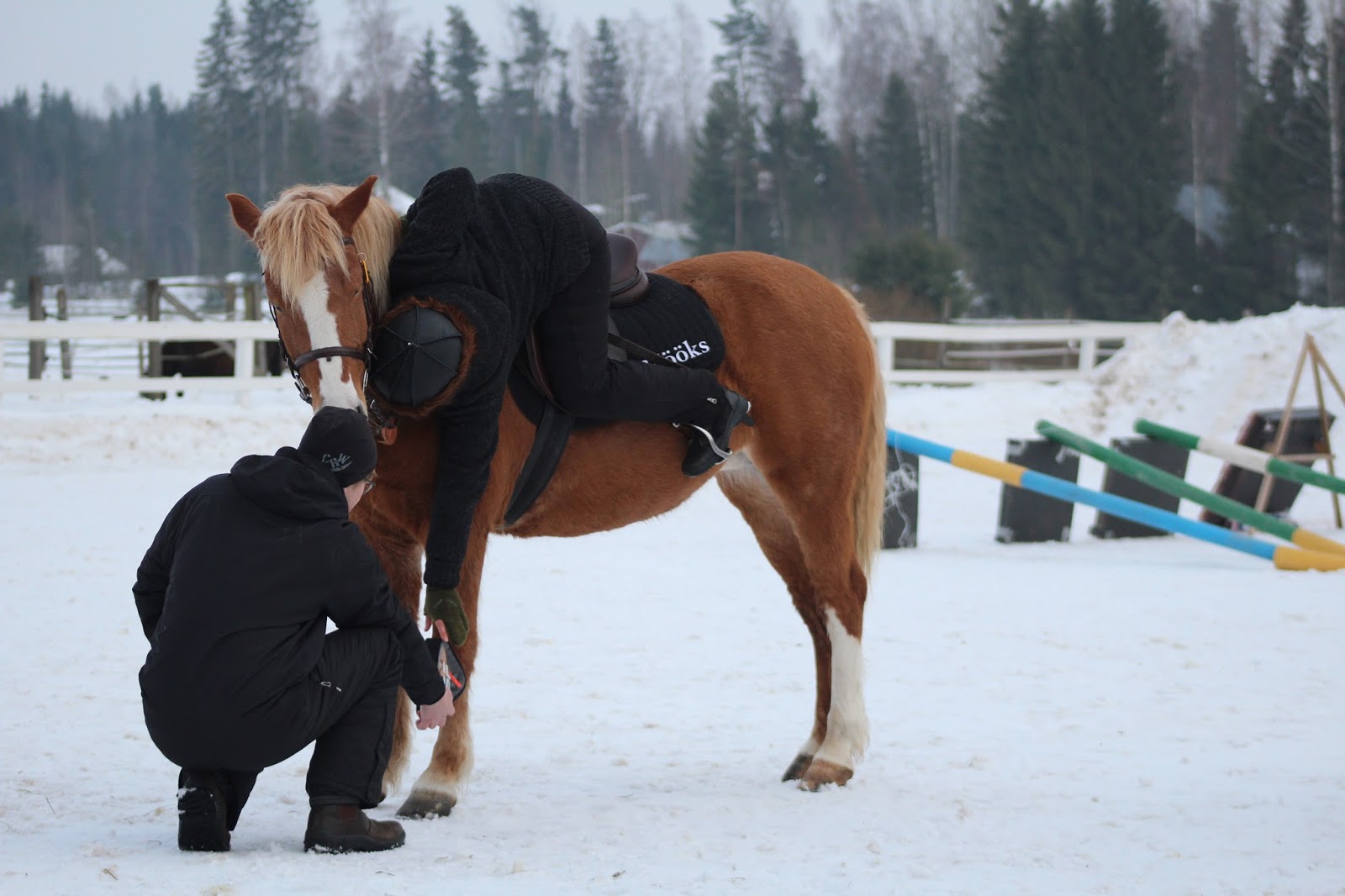 Aikuiset miehet porno