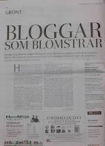 Reportage i Svenska Dagbladet