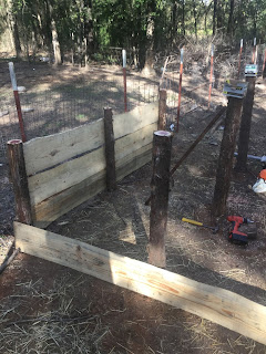 easy and cost effective way to build a goat shed, goat shelter idea, how to build a goat shelter, ideas for building inexpensive goat shelters, inspiring goat shed, learn how to build a goat shelter