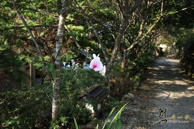 南投埔里民宿|佳園渡假山莊 環境