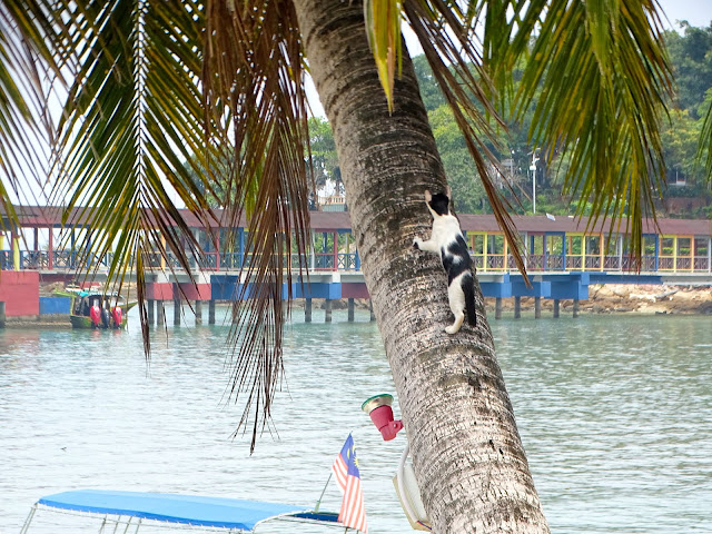 1 Dormitori No Esta A Loest De Palm Beach Lloguer